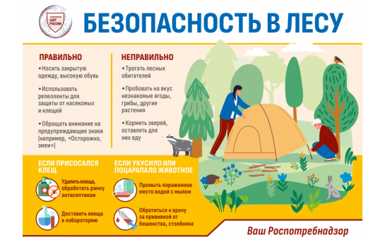 Клещи. Что делать, если обнаружили на себе клеща
