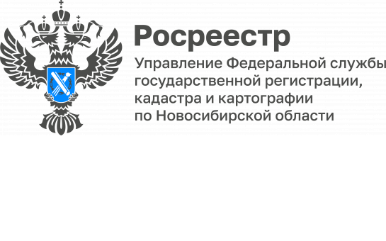 Как уточнить местоположение земельного участка и дома, новосибирцы смогут узнать в ходе «горячей» телефонной линии регионального Росреестра